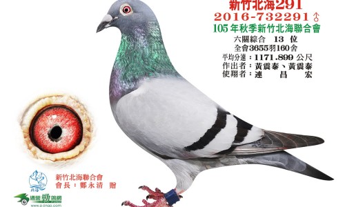 珍奥核酸胶囊的作用是什么-珍奥核酸胶囊的作用网 - 珍奥核酸胶囊真的能预防新冠吗,珍奥的核酸有那么神奇吗