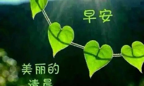 珍奥核苷酸3980一盒是真的吗-珍奥核酸胶囊的作用网 - 珍奥核酸胶囊真的能预防新冠吗,珍奥的核酸有那么神奇吗